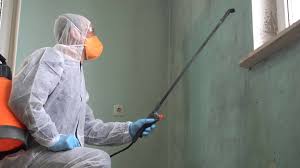 Why You Should Choose Our Mold Remediation Services in Bremen, OH